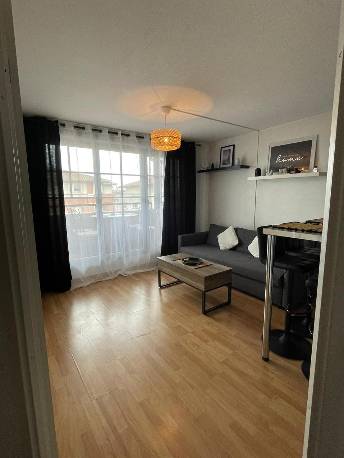 City Rose T2, Climatisation,Parking Prive, Piscine, Wifi , Tout Confort Toulouse Exteriör bild